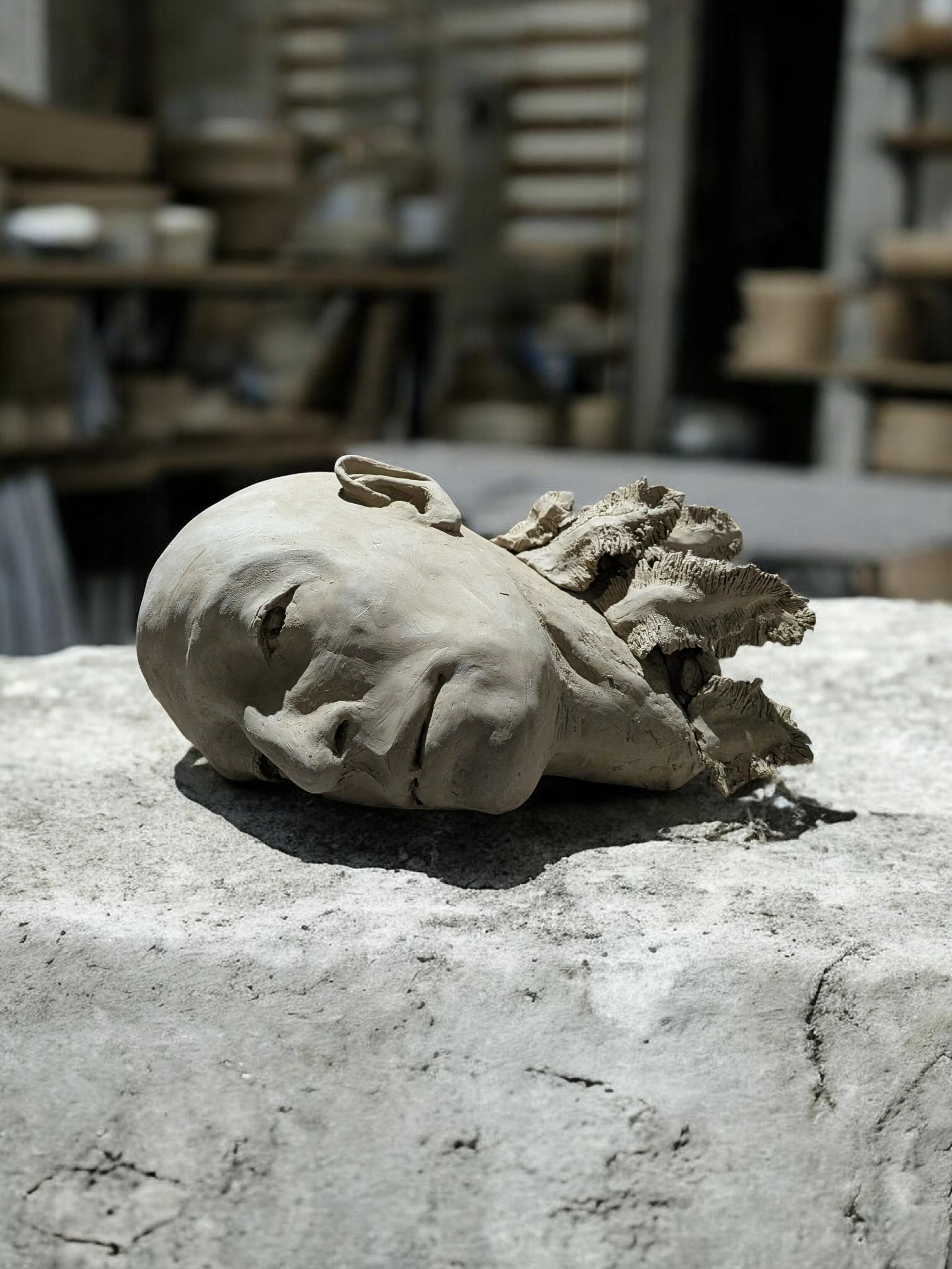 The Decade of Clay Surface Work