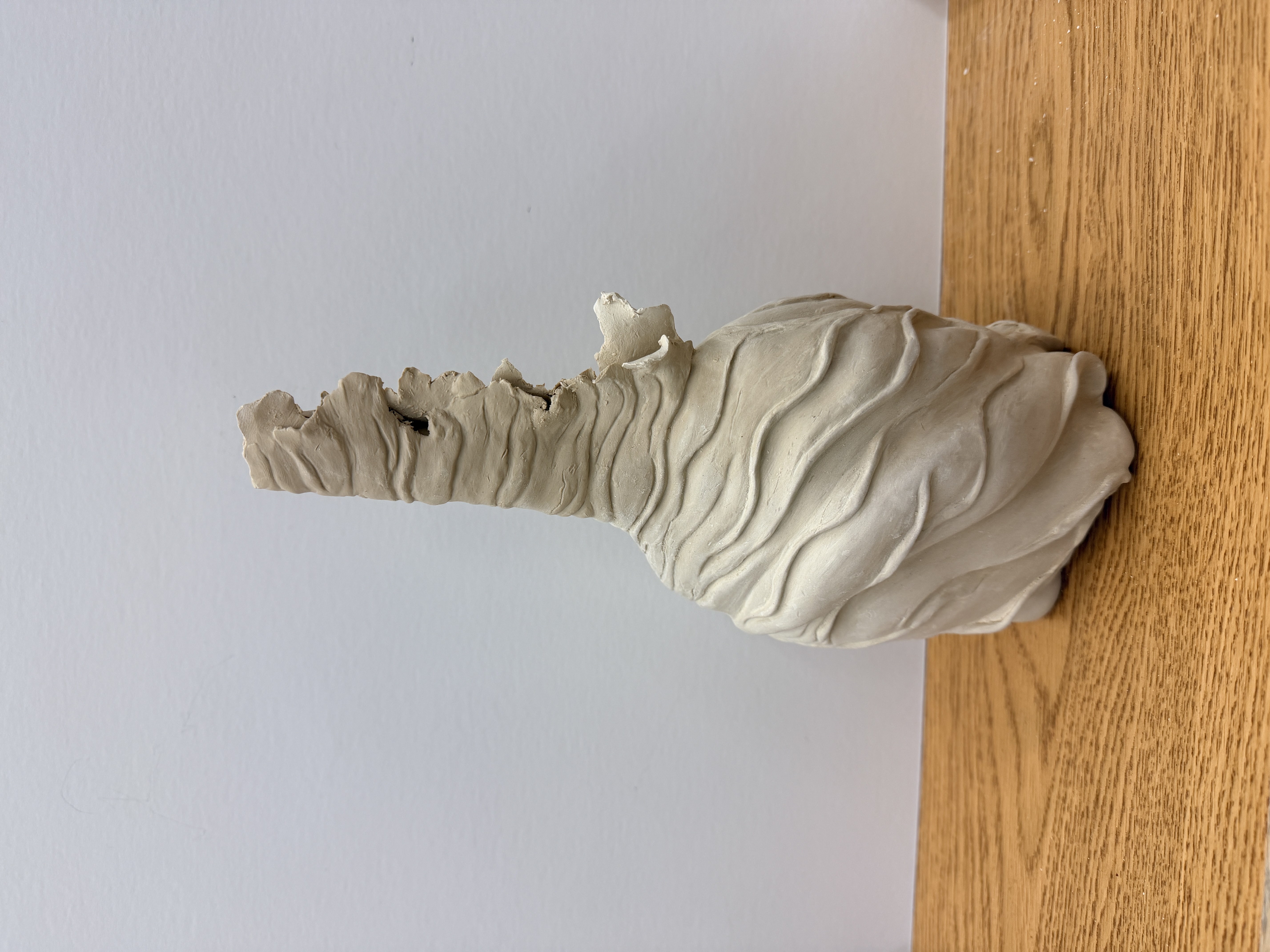 The Potter's Living of Form